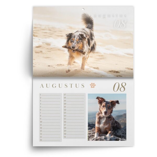 Verjaardagskalender Australian Shepherd