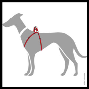 Y Tuig Hond Rood