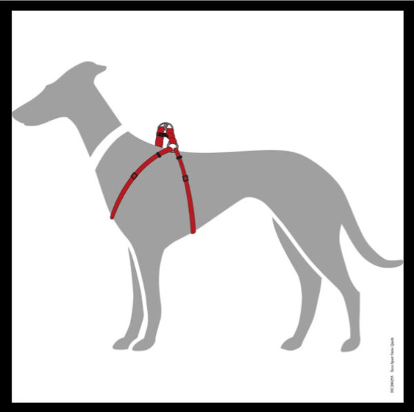 Y Tuig Hond Rood
