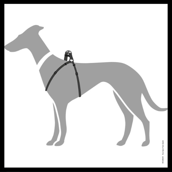 Y Tuig Hond Zwart