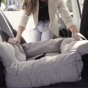Autostoel Hond & Reismand Rome