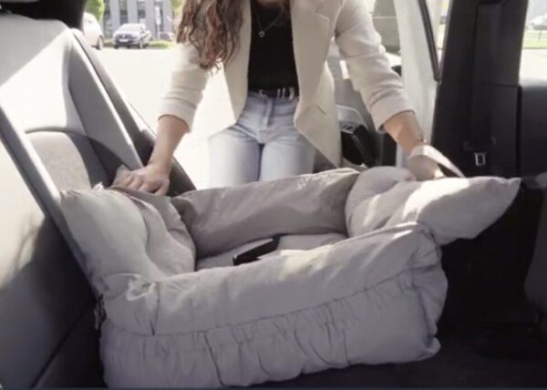 Autostoel Hond & Reismand Rome