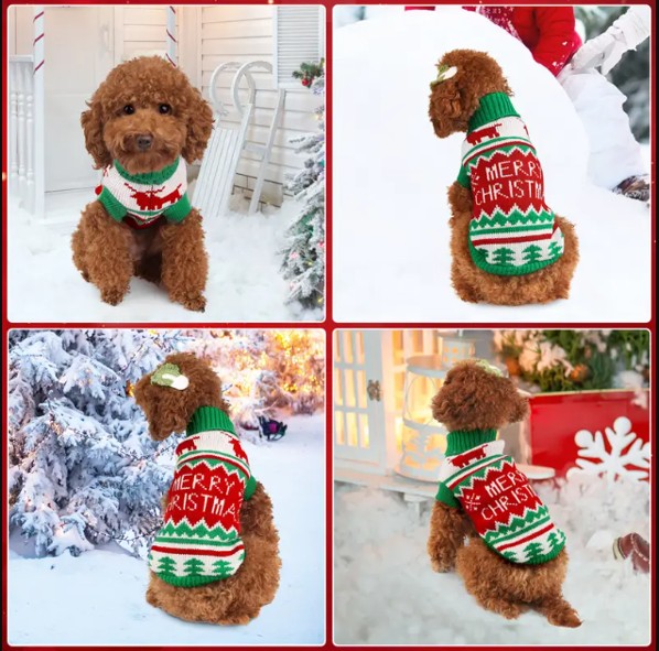 Kersttrui Hond Rendier