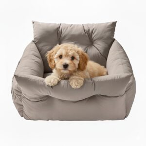 Autostoel Hond & Reismand Rome