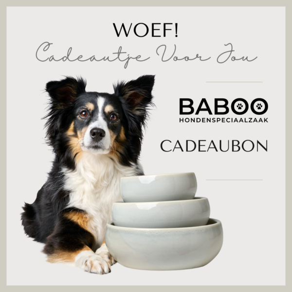 BABOO digitale cadeaubon