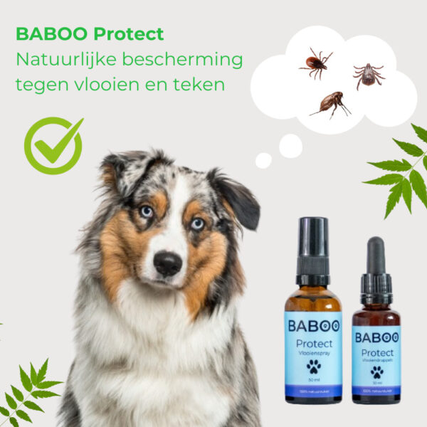 BABOO Protect: 100% Gifvrije Vlooienspray & Tekenspray