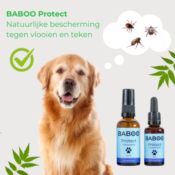 BABOO Protect: 100% Gifvrije Vlooienspray & Tekenspray