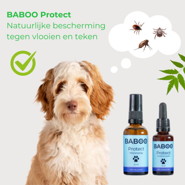 BABOO Protect: 100% Gifvrije Vlooienspray & Tekenspray