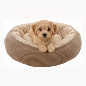 hondendonut beige