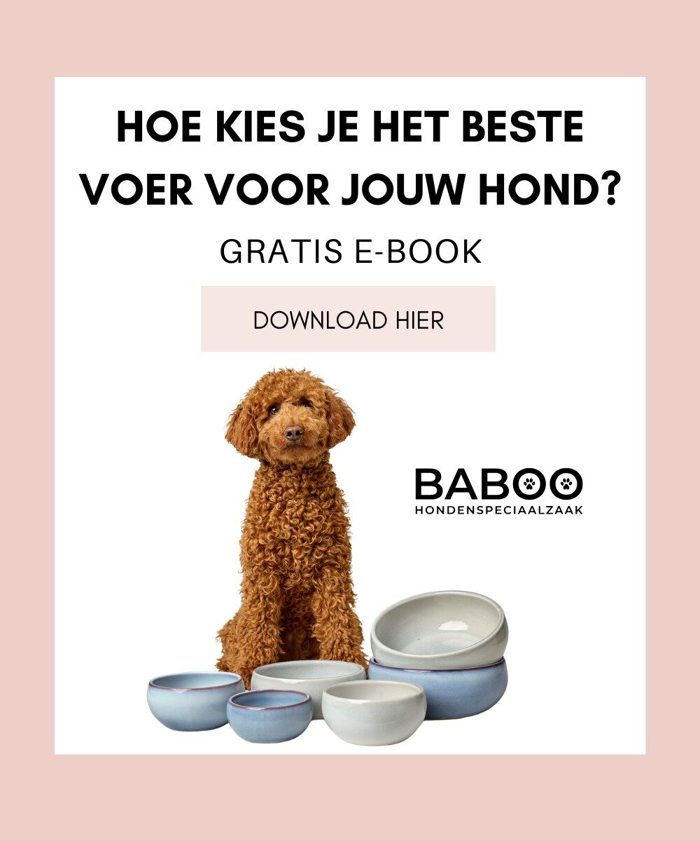 Gratis e book hondenvoer 2 download hier 1000 x 1200
