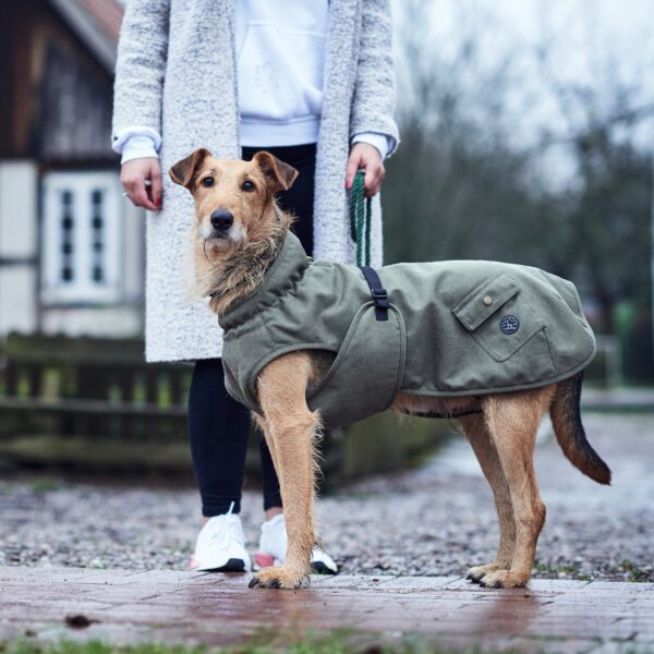 Hondenjas Khaki
