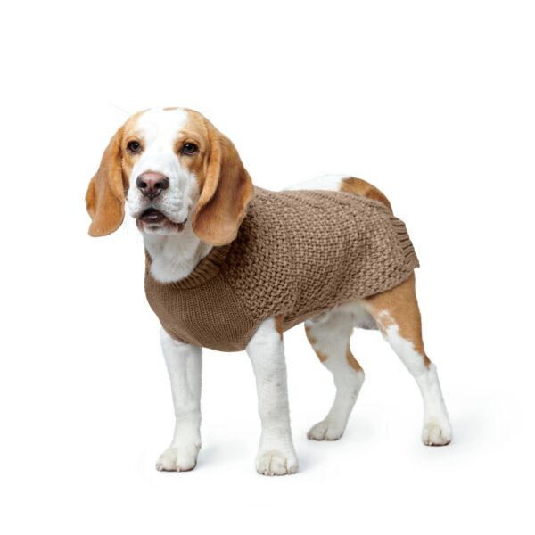 Hondentrui Beige
