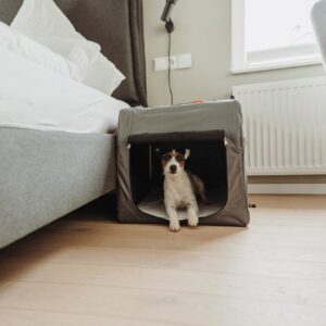 Reisbench Hond Opvouwbaar Grijs