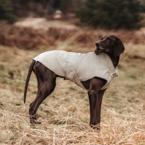 Regenjas Hond Taupe