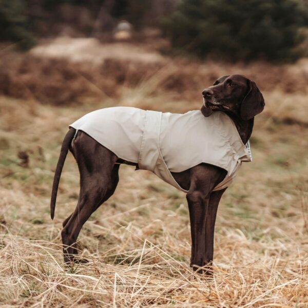 Regenjas Hond Taupe