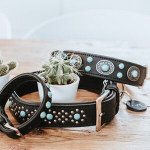Leren Halsband Sioux