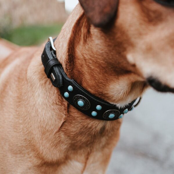 Leren Halsband Sioux