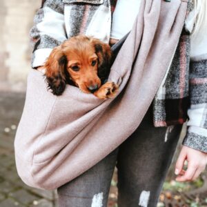 Draagzak Hondje & Puppy