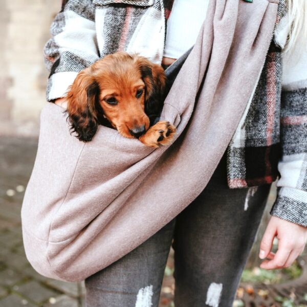 Draagzak Hondje & Puppy