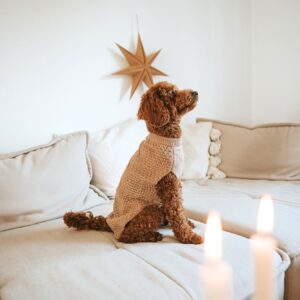 Hondentrui Beige