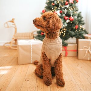 Hondentrui Beige