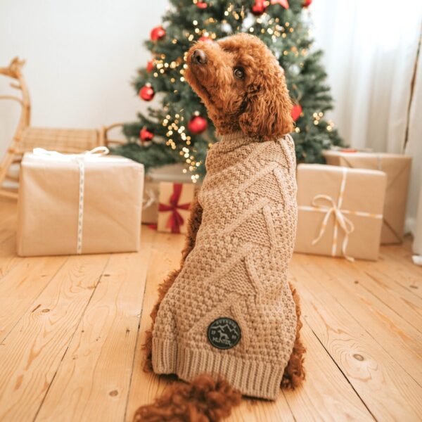 Hondentrui Beige