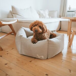 Orthopedische Hondenmand Bonny Taupe