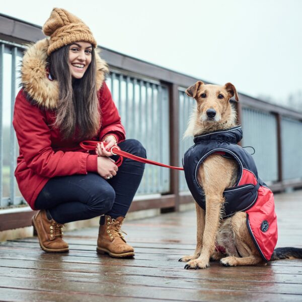 Hondenjas Antraciet/Rood