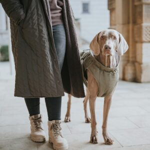 Hondenjas Khaki