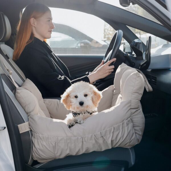 Autostoel Hond & Reismand Rome
