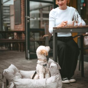 Autostoel Hond & Reismand Rome
