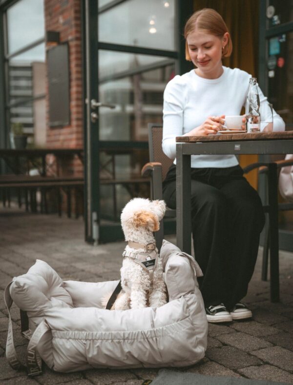 Autostoel Hond & Reismand Rome