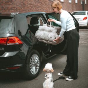 Autostoel Hond & Reismand Rome