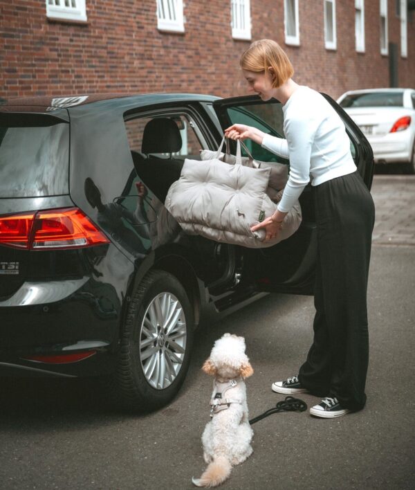 Autostoel Hond & Reismand Rome