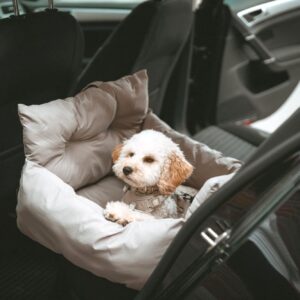 Autostoel Hond & Reismand Rome