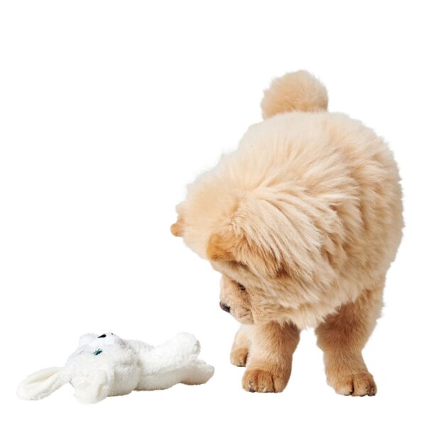 Hondenknuffel Teddy
