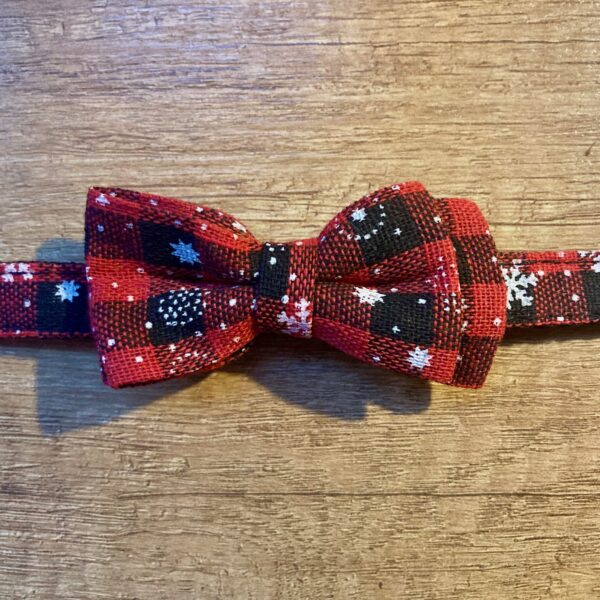 Kerst Halsband Hond