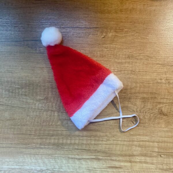 Kerstmuts Hond