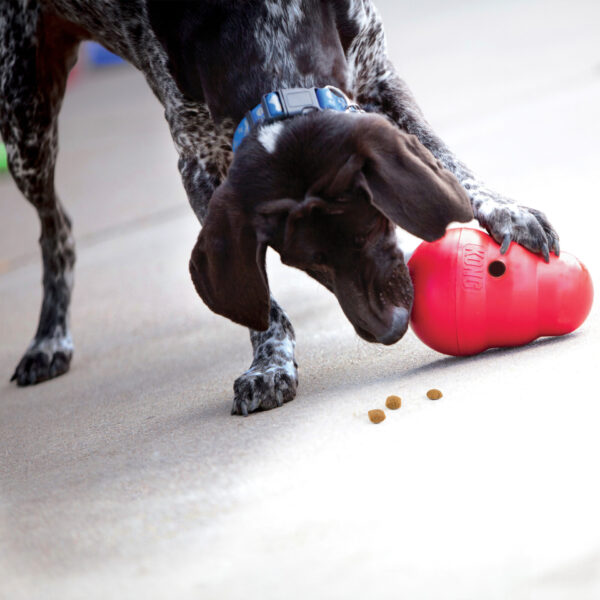 KONG Wobbler XL