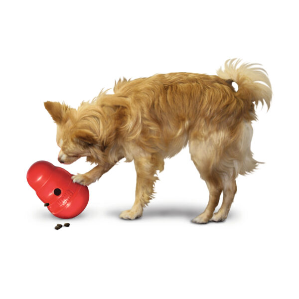 KONG Wobbler XL
