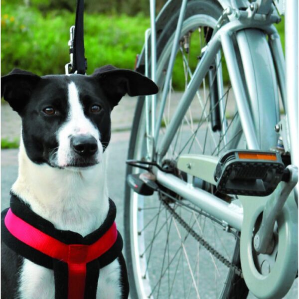 Fietsbeugel Hond Handsfree