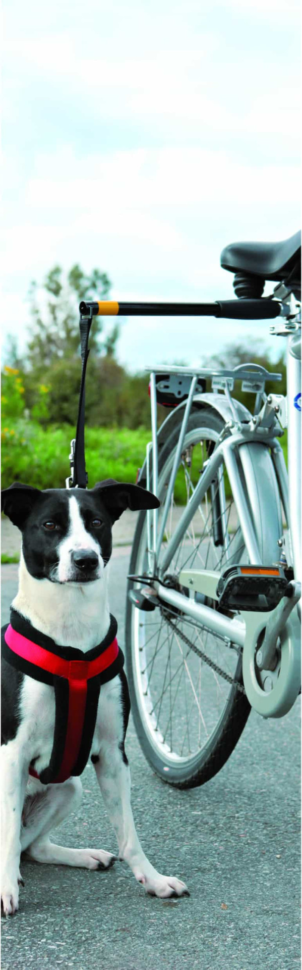 Fietsbeugel Hond Handsfree