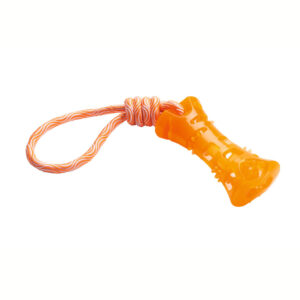 Waterspeelgoed Hondenbot Oranje