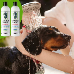Cowboy Magic Shampoo (473 ML)