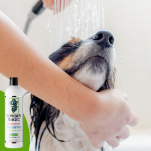 Cowboy Magic Shampoo (473 ML)