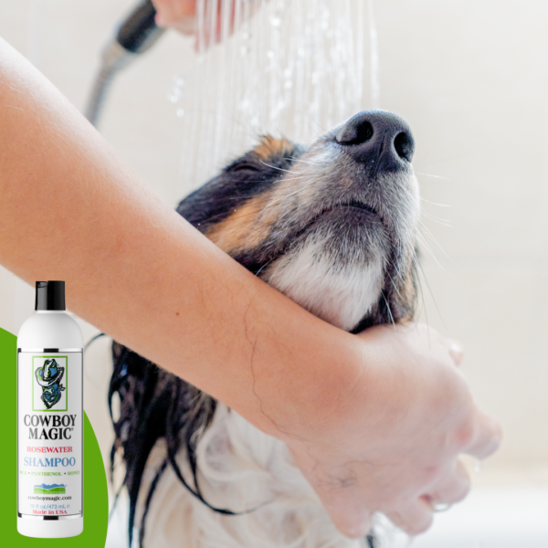 Cowboy Magic Shampoo (473 ML)