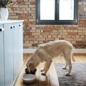 district-70-voerbak-golden-retriever.gif Voerbak BAMBOO Donkergrijs