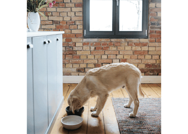 district-70-voerbak-golden-retriever.gif Voerbak BAMBOO Donkergrijs