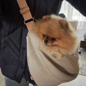 Leren Hondendraagzak Beige
