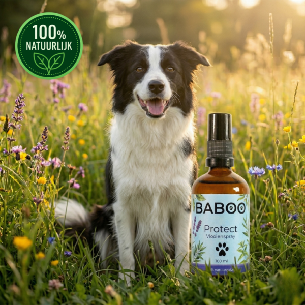 BABOO Protect natuurlijke vlooienspray en tekenspray gifvrij